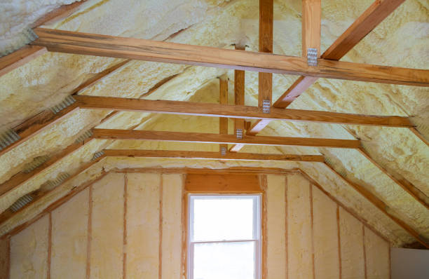 Best Types of Insulation in Mosheim, TN