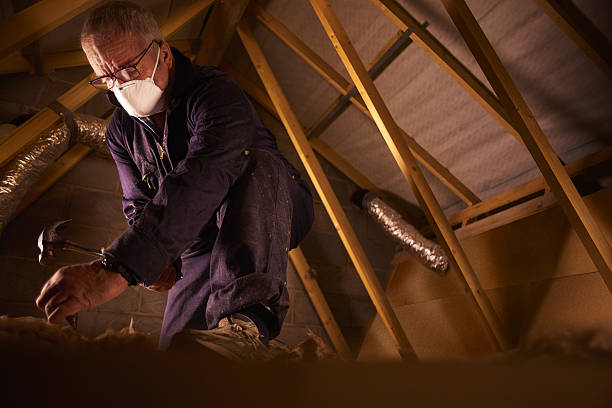 Best Residential Insulation in Mosheim, TN